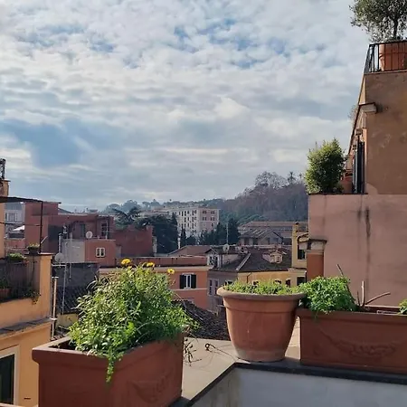 Cinque Amazing View Roma